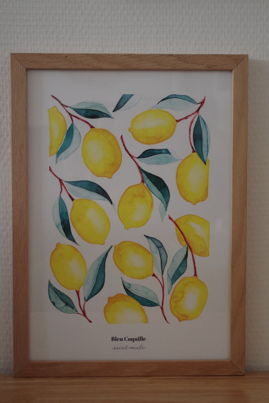Affiche citrons A4