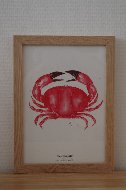 Affiche crabe rouge A5