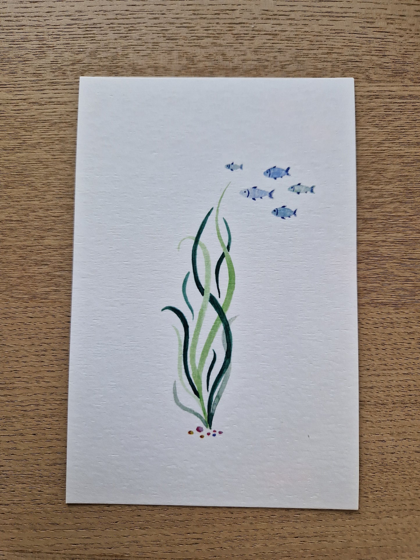 Carte postale algues poissons