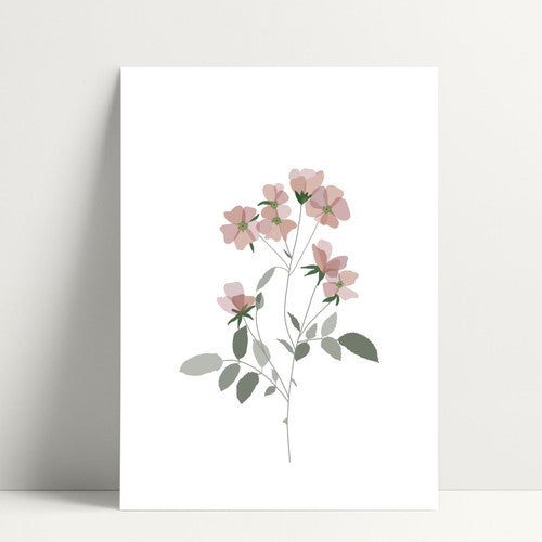 Carte postale fleurs roses
