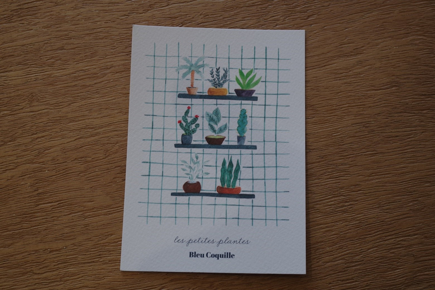 Carte postale plantes sur l'étagère